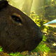 Shadow Of The Tomb Raider